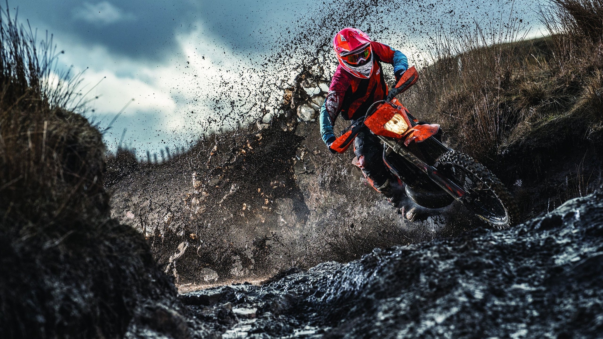 专家点评：赛后分析与未来趋势，赛后集锦